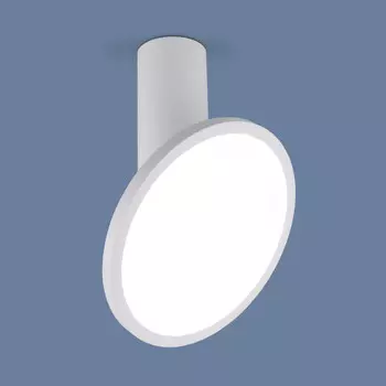 Накладной светильник Elektrostandard DLS029 12W 4200K белый матовый