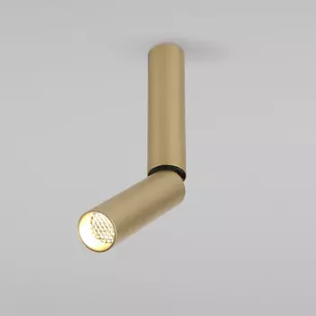 Накладной светильник Elektrostandard Pika 6W (25029/LED) золото