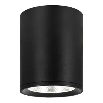 Накладной светильник Escada 20003SMU/02LED SBK