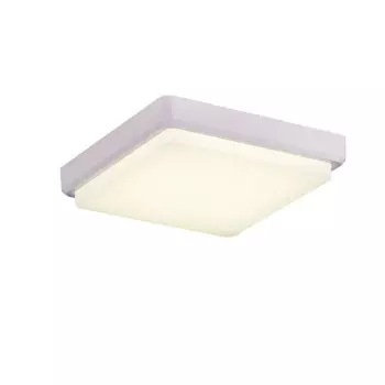 Накладной светильник Evoluce SLE200212-01