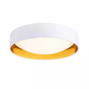 Накладной светильник Evoluce SLE201122-01