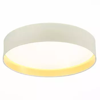 Накладной светильник Evoluce SLE300552-01