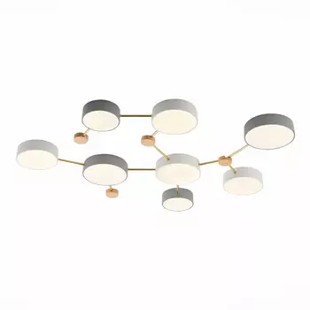 Накладной светильник Evoluce SLE600102-08