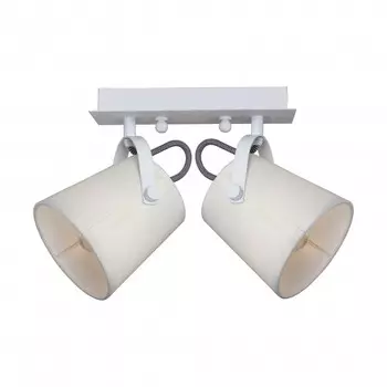 Накладной светильник F-Promo 2176-2U