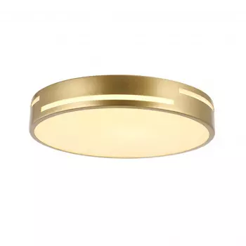 Накладной светильник F-Promo 2745-1C