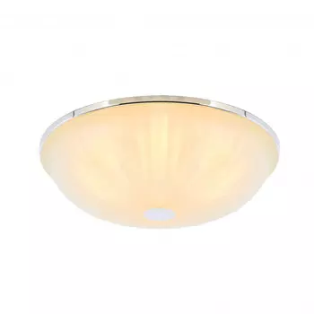 Накладной светильник F-Promo 2753-3C