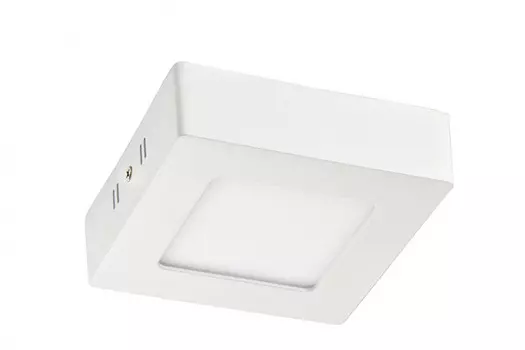 Накладной светильник Favourite 1349-6C