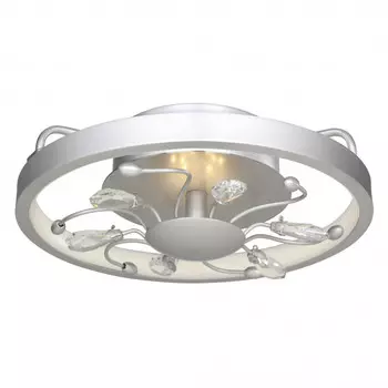 Накладной светильник Favourite 2523-2C