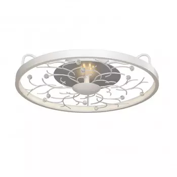 Накладной светильник Favourite 2533-4C