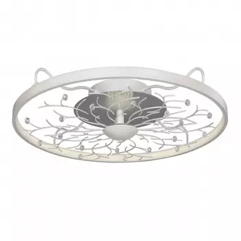 Накладной светильник Favourite 2533-6C