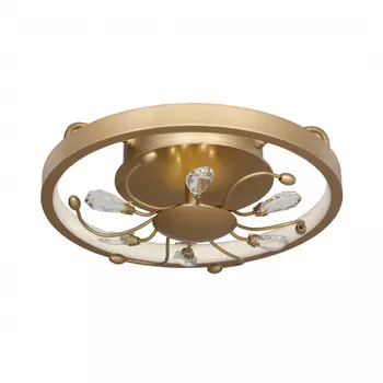 Накладной светильник Favourite 2534-2C