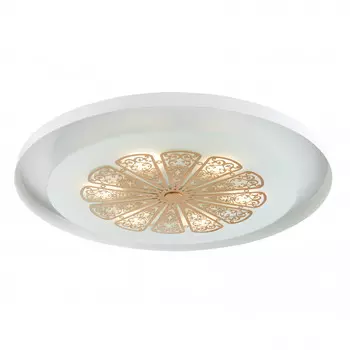 Накладной светильник Favourite 2602-5C