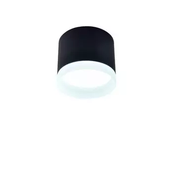 Накладной светильник Favourite 4214-1C