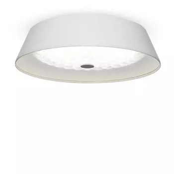 Накладной светильник Freya FR10013CL-L24W