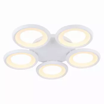 Накладной светильник Freya FR6010CL-L82W