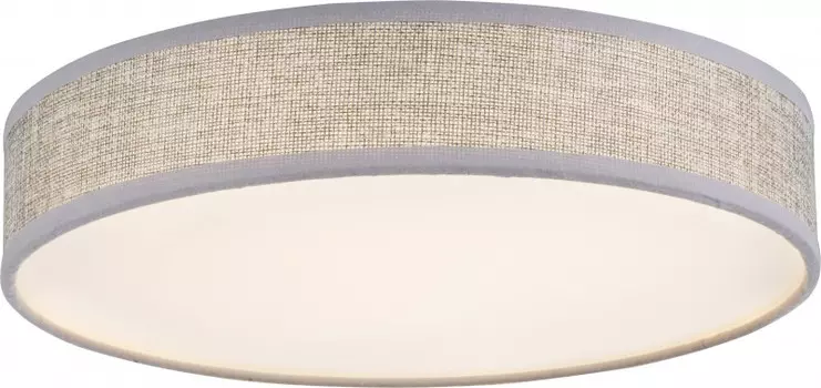 Накладной светильник Globo 15185D1