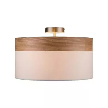 Накладной светильник Globo 15221D