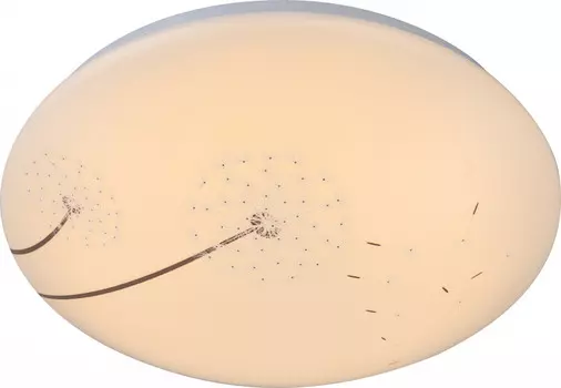 Накладной светильник Globo 41592