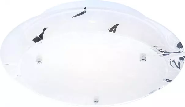 Накладной светильник Globo 48077