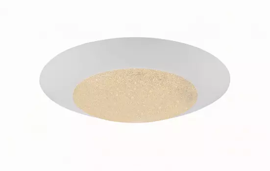 Накладной светильник Globo 49002-24