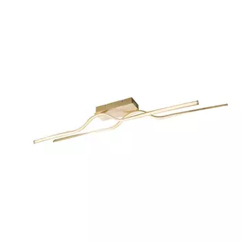 Накладной светильник Globo 67004-30G