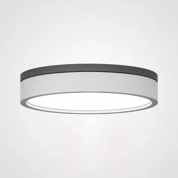 Накладной светильник ImperiumLoft 101707-26