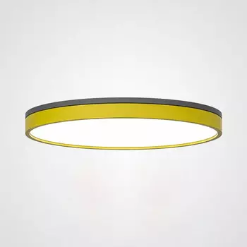 Накладной светильник ImperiumLoft 181032-26