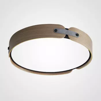 Накладной светильник ImperiumLoft 195540-26