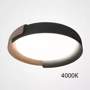 Накладной светильник ImperiumLoft 223831-23