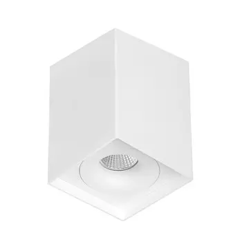 Накладной светильник LeDron MJ1021GW