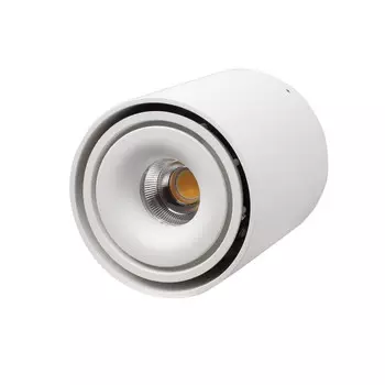 Накладной светильник LeDron ORBIN TUB White