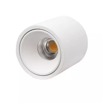 Накладной светильник LeDron RINBOK White