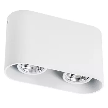 Накладной светильник Lightstar 214866