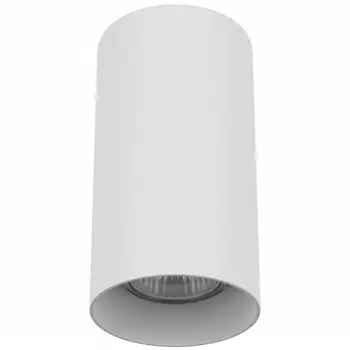 Накладной светильник Lightstar 216486