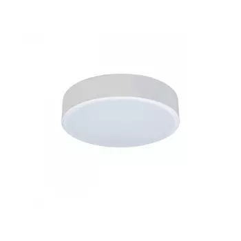 Накладной светильник LOFT IT 10002/12 White