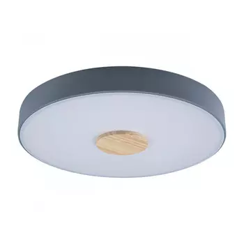 Накладной светильник LOFT IT 10003/24 Grey