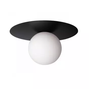 Накладной светильник LOFT IT 10120/250C Black
