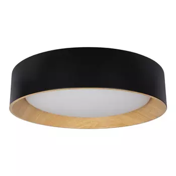 Накладной светильник LOFT IT 10202 Black