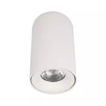 Накладной светильник LOFT IT 10220 White 4000K