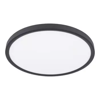 Накладной светильник LOFT IT 10227/40 Black