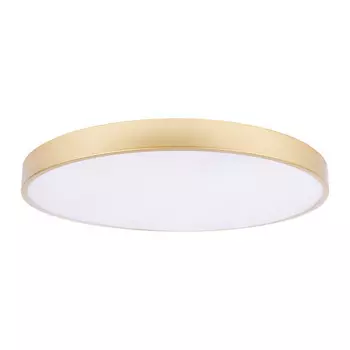 Накладной светильник LOFT IT 10228/B