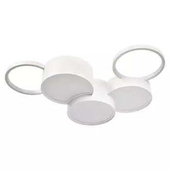 Накладной светильник LOFT IT 10317/5 White