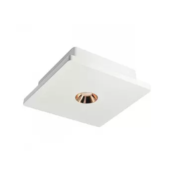 Накладной светильник LOFT IT OL1072-WG/1