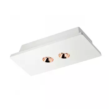 Накладной светильник LOFT IT OL1072-WG/2