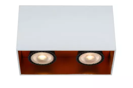 Накладной светильник LUCIDE 22966/02/31