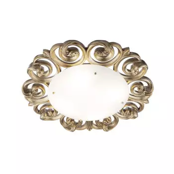 Накладной светильник Maytoni H300-04-G