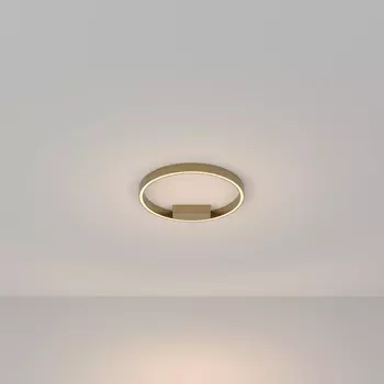 Накладной светильник Maytoni MOD058CL-L25BS3K