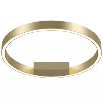 Накладной светильник Maytoni MOD058CL-L25BSK