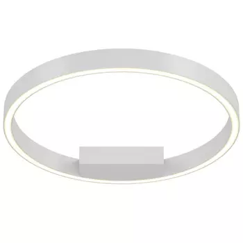 Накладной светильник Maytoni MOD058CL-L25WK