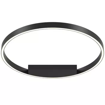 Накладной светильник Maytoni MOD058CL-L35BK